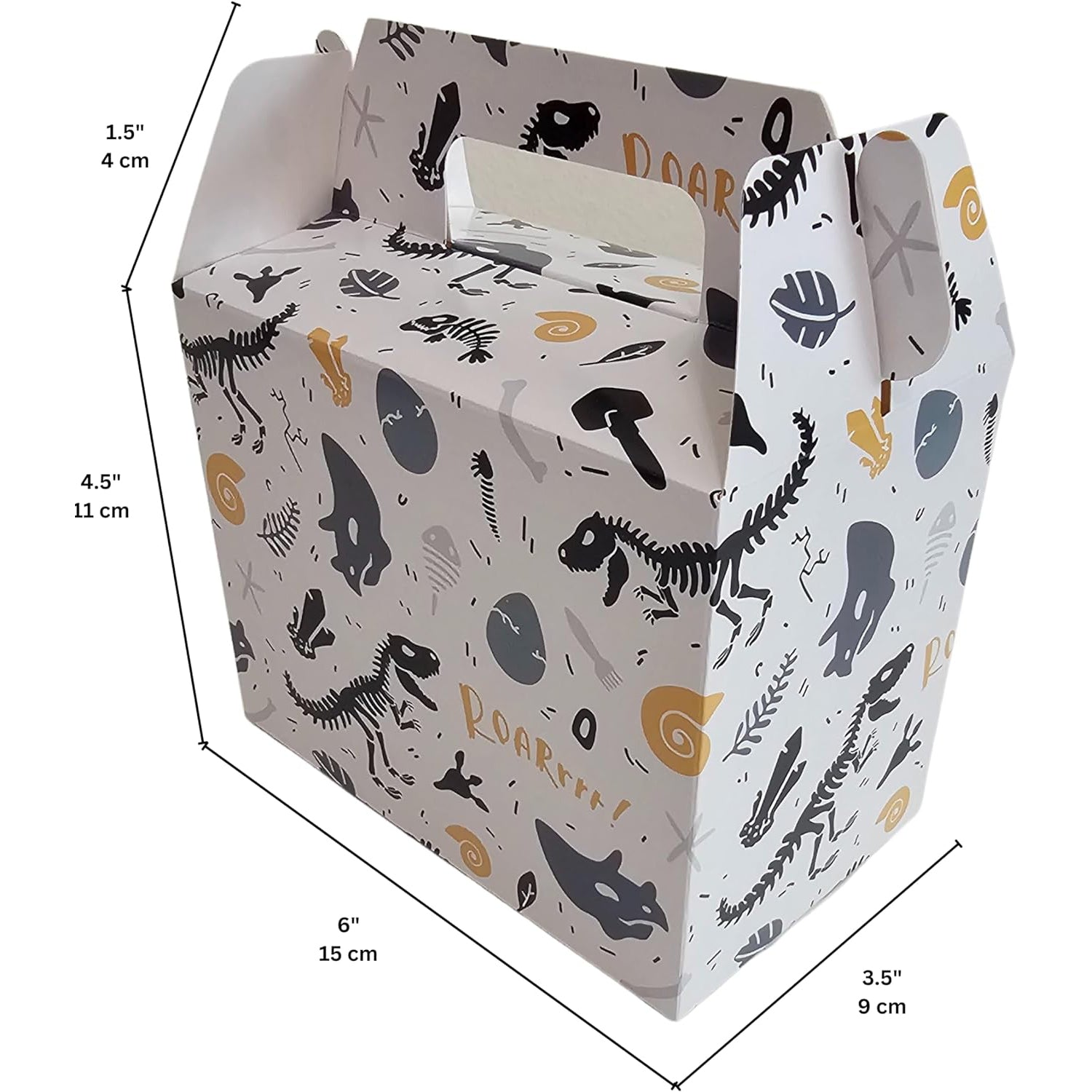 Dinosaur Goodie Box With handle Dinosaur fossils